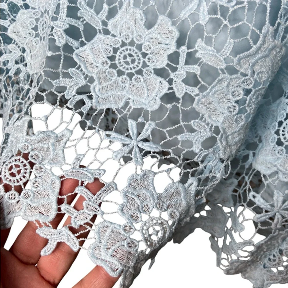 Ted Baker London DIXA Lace Dress‎ - Picture 6 of 12